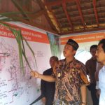 Menguntungkan, Rumput Raja Mulai Dibudidayakan di Rembang