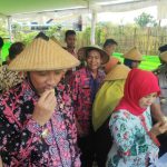 Gelar Festival Buah Lokal Angkat Potensi Holtikultura Khas Rembang